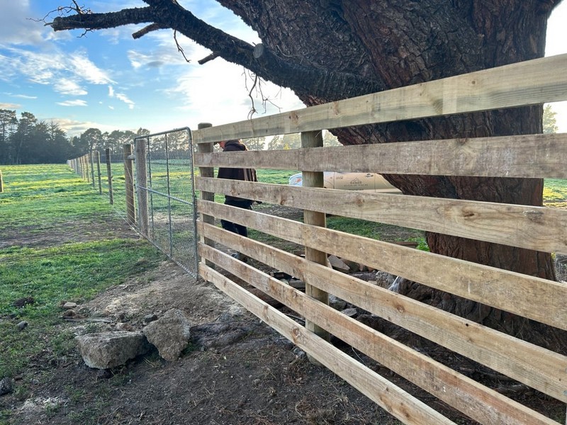 Silverline Fencing (2) Silverline Fencing (2)